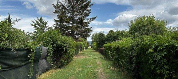 3-Zimmer Bungalow in Trausdorf an der Wulka, Austria, Nr. 145861 21