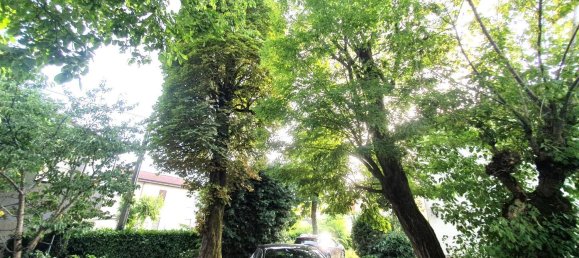 7 rooms Villa in San Giorgio Piacentino, Italy No. 300084 50