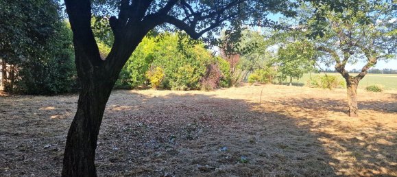 7 rooms Villa in San Giorgio Piacentino, Italy No. 300084 45