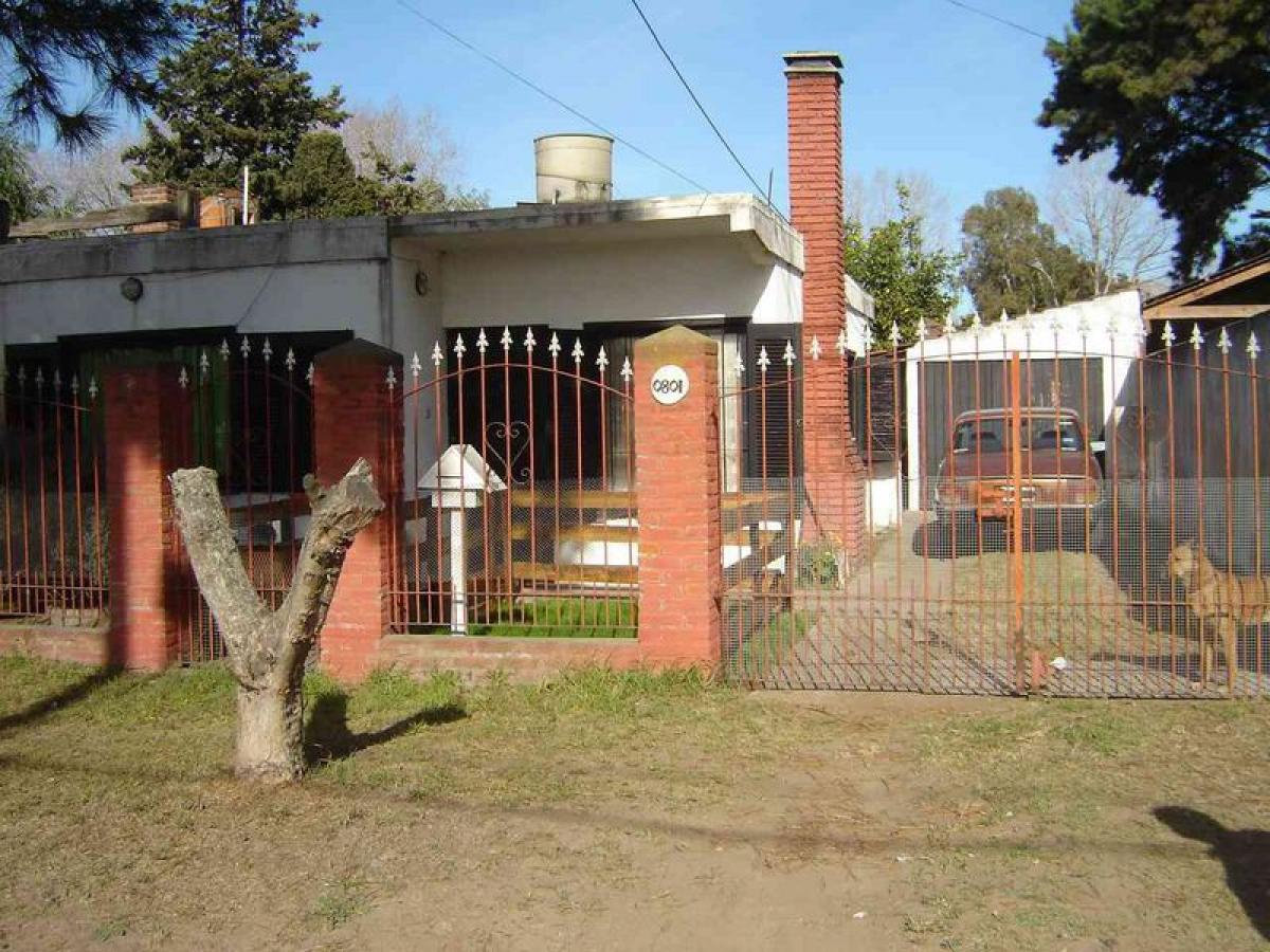 Studio in Mar del Plata, Argentina, Nr. 102559