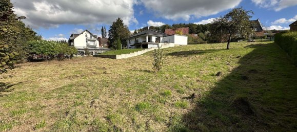  قطعة أرض في Lippe, Germany رقم 160011 5