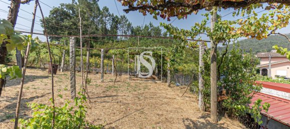 1 bedroom Villa in Oliveira de Azemeis, Portugal No. 240574 27