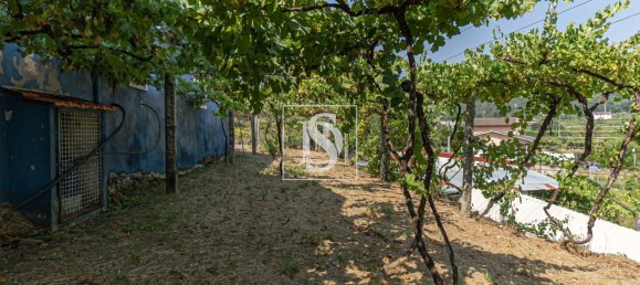 1 bedroom Villa in Oliveira de Azemeis, Portugal No. 240574 23