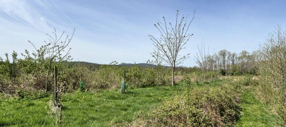 Terreno en Mannersdorf an der Rabnitz, Austria No. 58720 19