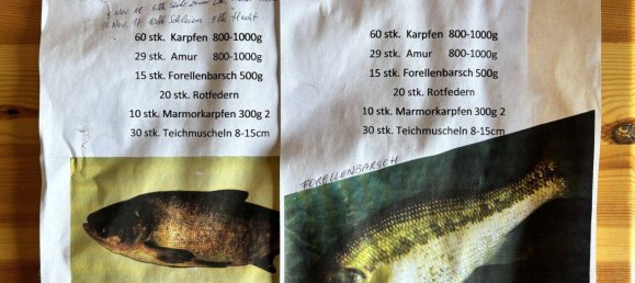 Terreno en Mannersdorf an der Rabnitz, Austria No. 58720 33