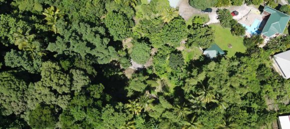 3 bedrooms Villa in Trafalgar, Dominica No. 24 10