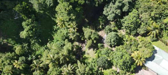 3 bedrooms Villa in Trafalgar, Dominica No. 24 9