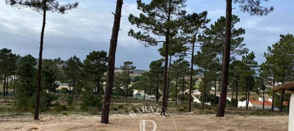 5924m² Land in Alcacer do Sal, Portugal No. 132432 3