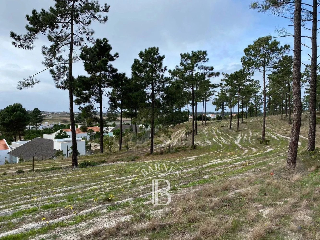 5924m² Land in Alcacer do Sal, Portugal No. 132432
