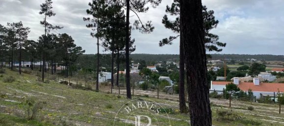 5924m² Land in Alcacer do Sal, Portugal No. 132432 2