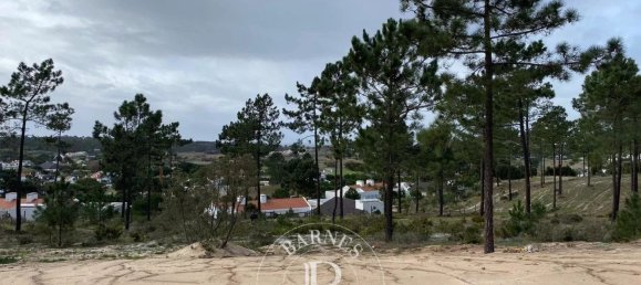 5924m² Land in Alcacer do Sal, Portugal No. 132432 4