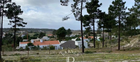 5924m² Land in Alcacer do Sal, Portugal No. 132432 5