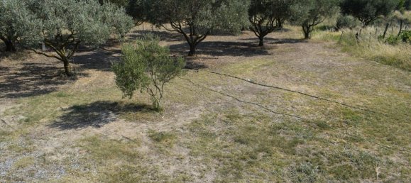 2 غرف نوم عقار تجاري في Epanomi, Greece رقم 4667 12