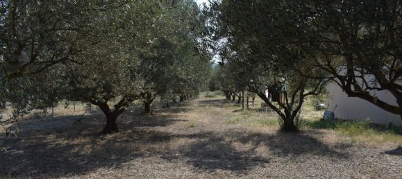 2 غرف نوم عقار تجاري في Epanomi, Greece رقم 4667 13