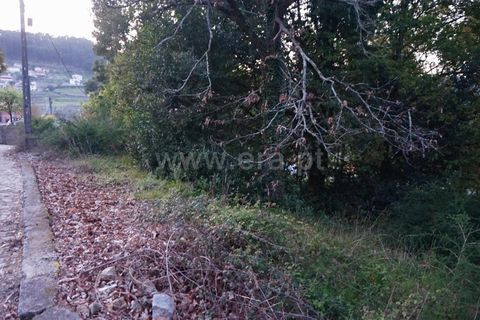 Terreno em Barcelos, Portugal N.º 202282