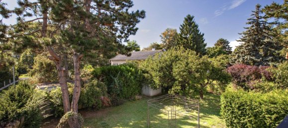 7 rooms House in Langenzersdorf, Austria No. 258804 18