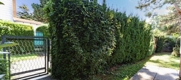 7 rooms House in Langenzersdorf, Austria No. 258804 24