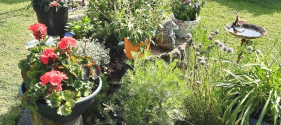 5 chambres Maison de ville à Cloppenburg, Germany No. 229520 20