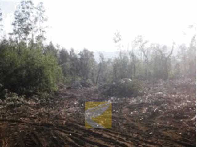 Terreno em Santo Tirso, Portugal 6400 m² N.º 56064