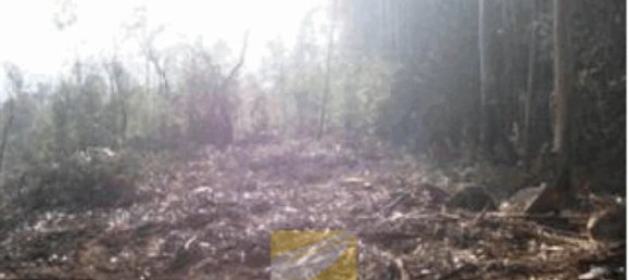 Terreno em Santo Tirso, Portugal 6400 m² N.º 56064 3