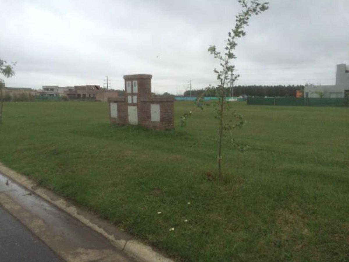  Land in Santa Fe, Argentina No. 49311