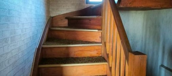 Дом с 3 комнатами в Бранденбург, Германия № 58901 7