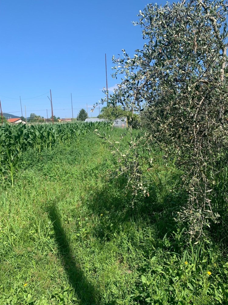 3000m² Land in Castelnuovo Magra, Italy No. 67226