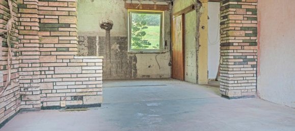 3 bedrooms Farm in Vulkaneifel, Germany No. 244564 10