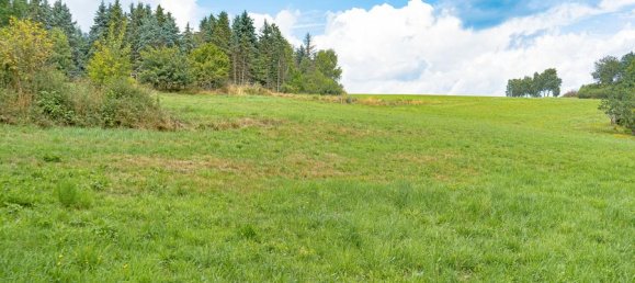 3 bedrooms Farm in Vulkaneifel, Germany No. 244564 18