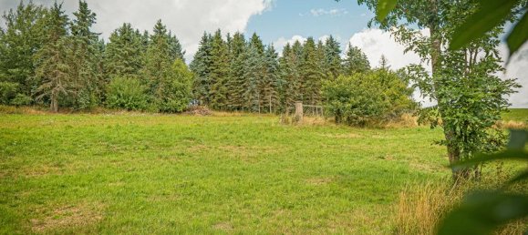 3 bedrooms Farm in Vulkaneifel, Germany No. 244564 16