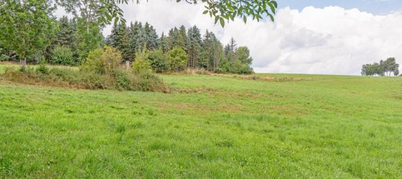 3 bedrooms Farm in Vulkaneifel, Germany No. 244564 17