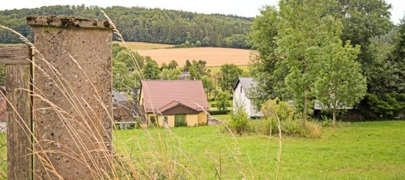 3 bedrooms Farm in Vulkaneifel, Germany No. 244564 19