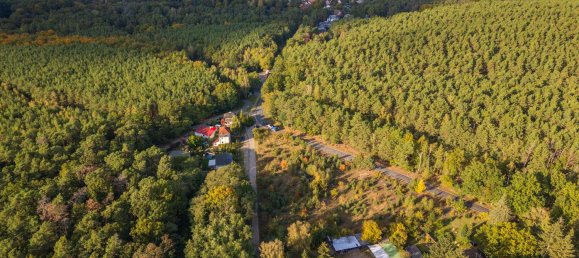 Terreno en Potsdam-Mittelmark, Germany No. 85089 4