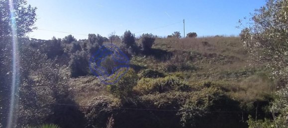 Terrain à Tomar, Portugal 2257m² No. 79618 2