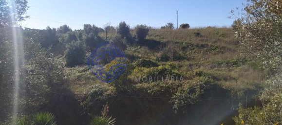 Terrain à Tomar, Portugal 2257m² No. 79618 40