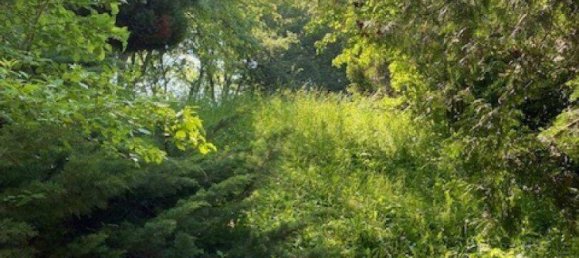 Дом с 6 комнатами в Дёблинг, Австрия № 243254 34