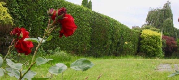 8 rooms Villa in Pinneberg, Germany No. 359060 5