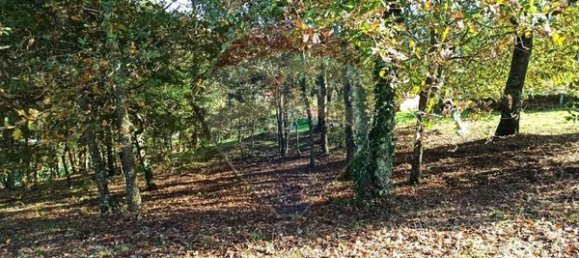 Земельный участок 1200м² в Аркуш ди Валдевеш, Португалия № 62927 4