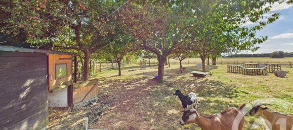 3 bedrooms House in Chartres, France No. 349780 14