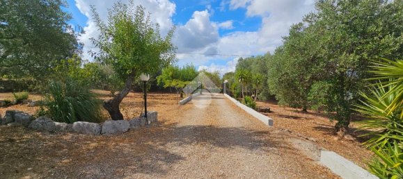 Дом с 2 спальнями в Челье Мессапика, Италия № 300018 40