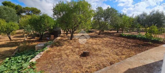 Дом с 2 спальнями в Челье Мессапика, Италия № 300018 29