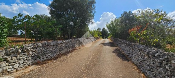 Дом с 2 спальнями в Челье Мессапика, Италия № 300018 43