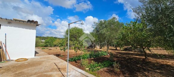 Дом с 2 спальнями в Челье Мессапика, Италия № 300018 28