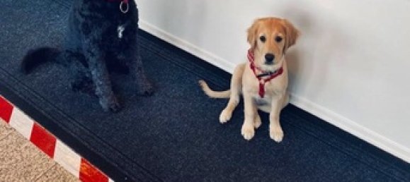 Propiedad comercial en Passau, Germany 160 m² No. 24813 3