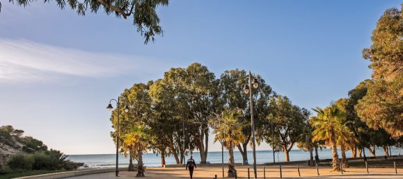 Квартира с 2 спальнями в Аликанте, Испания № 79662 12