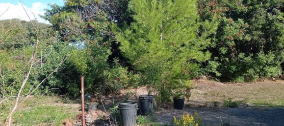 Grundstück in Palermo, Italy 1986m², Nr. 112671 3