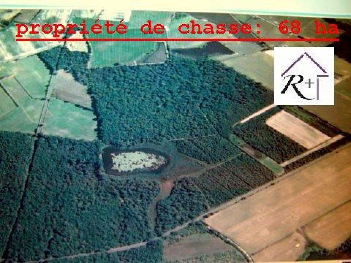 Loja T6 em Le Blanc, France N.º 19518