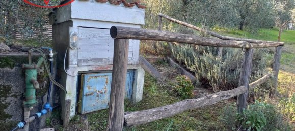 Grundstück in Montevarchi, Italy 1768m², Nr. 235532 15