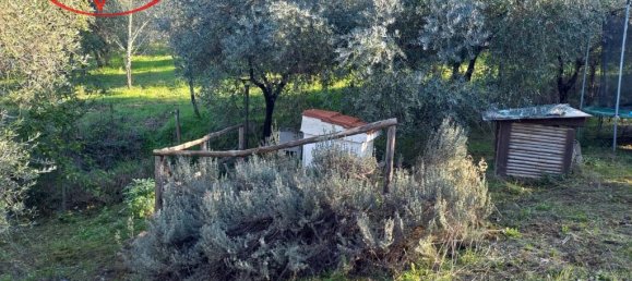 Grundstück in Montevarchi, Italy 1768m², Nr. 235532 2