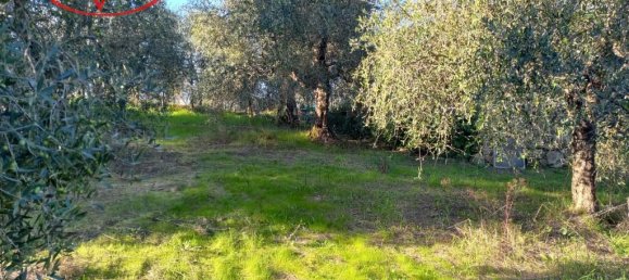 Grundstück in Montevarchi, Italy 1768m², Nr. 235532 4